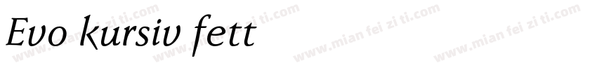 Evo kursiv fett字体转换